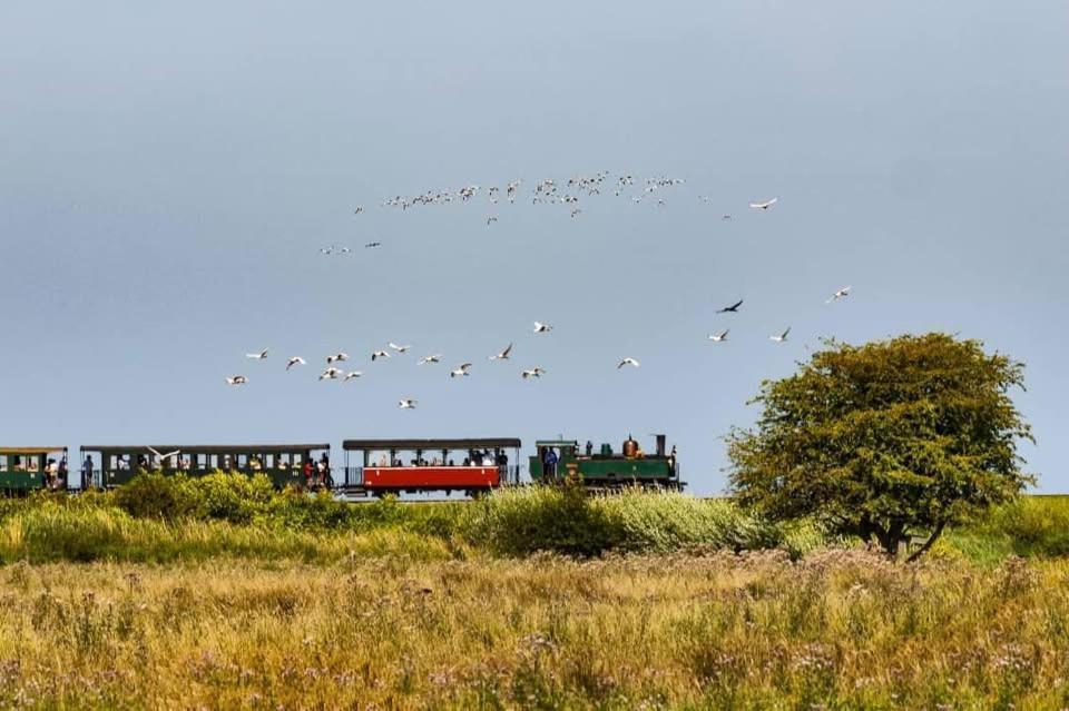 Gites La Baie Des Remparts Meuble Les Avocettes サン・ヴァルリー・シュル・ソンム エクステリア 写真